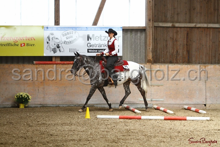 28-ApHC OT_291.jpg